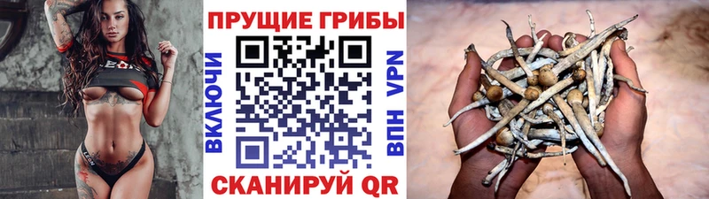Галлюциногенные грибы прущие грибы  Липецк 